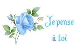 Gif animé je pense à toi roses bleues
